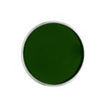 Líčidlo FX - tmavě zelené