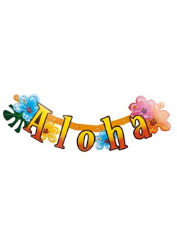 Banner Aloha