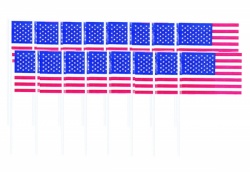 Párátka USA (120 ks)