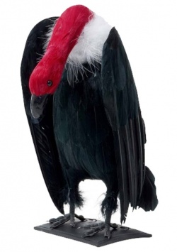 Černý sup dekorace