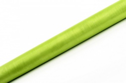 Jasně zelená organza II