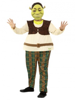 Dětský kostým Shrek II