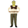 Dětský kostým Shrek II