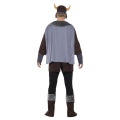 Pánský kostým Bojovný Viking